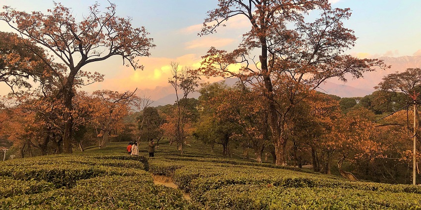 This destination takes tourists on a culturally rich journey with its Tibetan influence