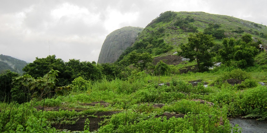 Dhoni Hills offer you a wonderful thrilling experience and great scenery around the falls.
