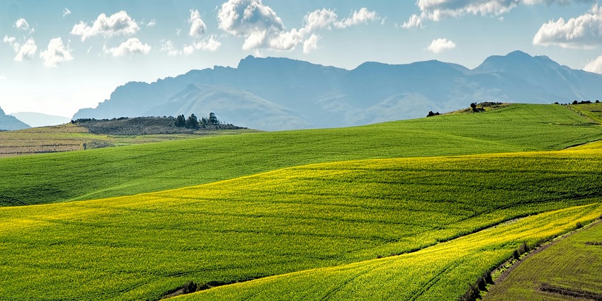 Verdant landscapes of Dhupdhara, a destination perfect to retreat to and immerse into nature