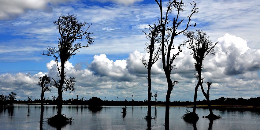 A breathtaking view of Dibru-Saikhowa National Park with a sparkling water body.