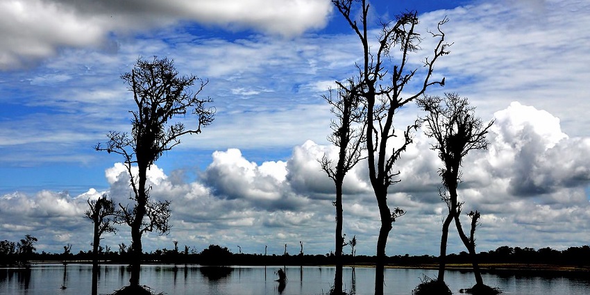 Dibru Saikhowa National Park is one of the best wildlife sanctuaries in Assam for all.