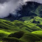 Snapshot of the hilly meadow covered in lush green vegetation- Things to do in Dimapur