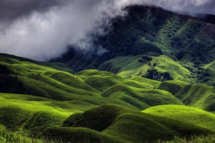 Snapshot of the hilly meadow covered in lush green vegetation- Things to do in Dimapur