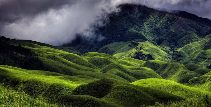 Snapshot of the hilly meadow covered in lush green vegetation- Things to do in Dimapur