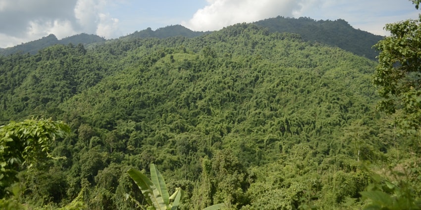 During your visit to this attraction, do explore the other surroundings of Dimapur town.