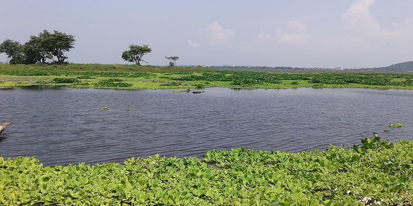 Dipor Bil Lake with expansive waters - Places to visit in Guwahati for couples.