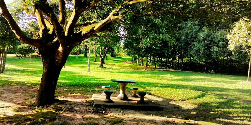 You can immerse yourself in the Dimasa culture at the Panimur picnic place.