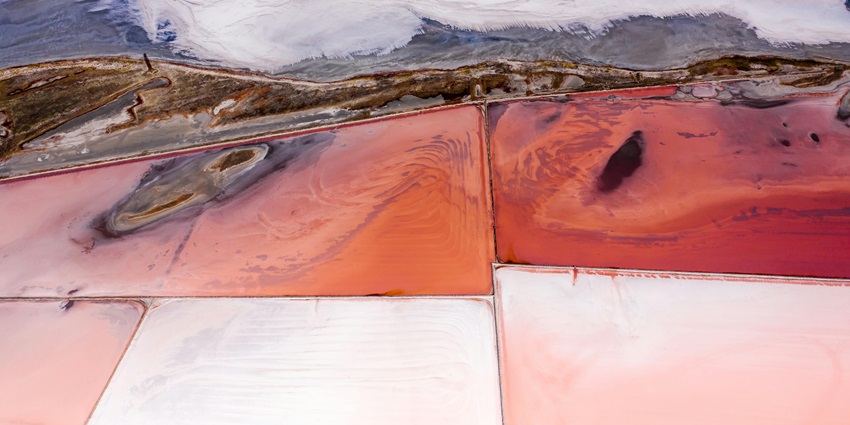 Expansive salt fields with geometric patterns, birdlife, and insights into traditional salt harvesting methods.