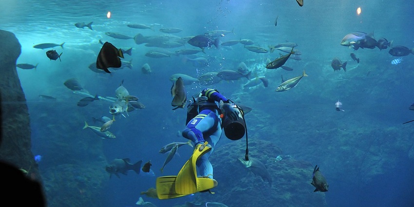 Pulau Jong is ideal for divers to explore lesser-known sites with unique underwater places.