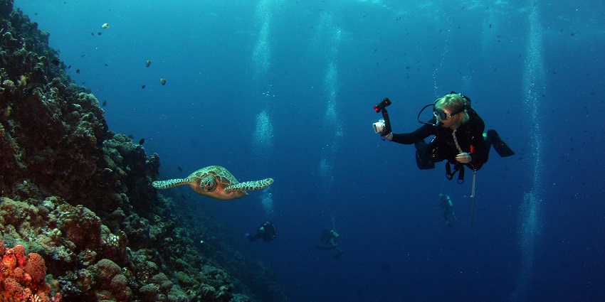 Image of a man in a black diving suit exploring underwater, surrounded by clear water.