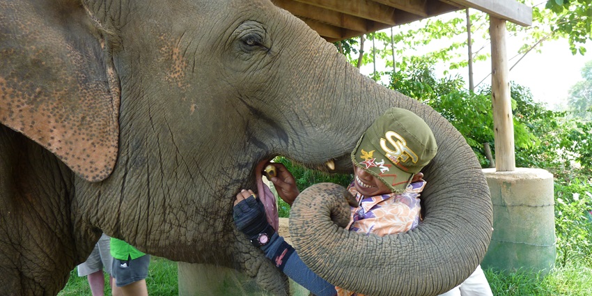 A view of an elephant playing with a man at the Doi Suthep-Pui National Park in Thailand.