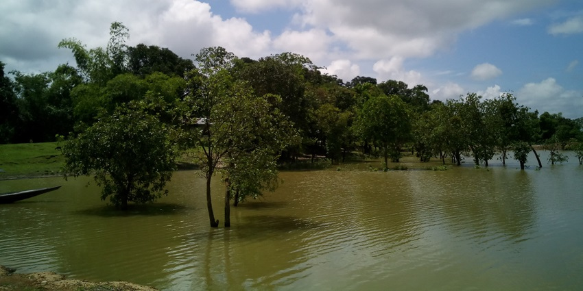 An amazing view of Dolu Lake, featuring tranquil waters and lush green vegetation.