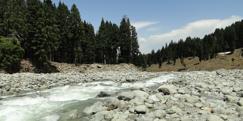 Doodhpathri is a serene and beautiful mountain with majestic wildflowers and pastures