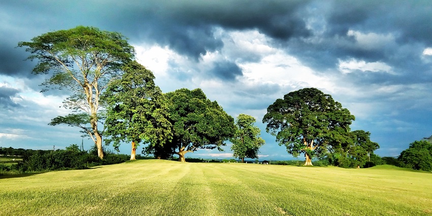 A scenic view of Doomdooma, one of the breathtaking places to visit in Tezpur.