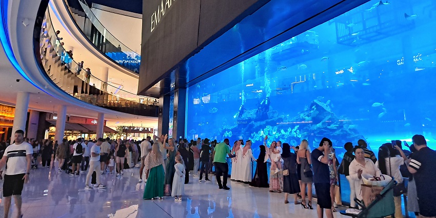 Enjoy at Dubai Aquarium & Underwater Zoo, one of the places to visit in Dubai with family