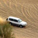 Desert safari in Dubai is a unique experience to live and enjoy for your perfect vacation.