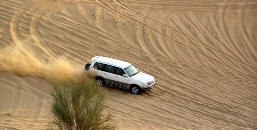 Desert safari in Dubai is a unique experience to live and enjoy for your perfect vacation.