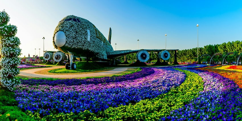 Walk hand-in-hand through the colourful Miracle Garden on Valentine's day in Dubai.