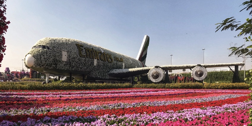View of flowers at Dubai Miracle Garden, one of the places to visit in Dubai with family