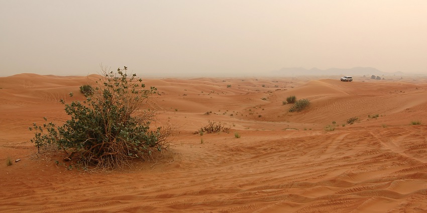 Dune bashing offers astonishing views and adventure in a 4x4 vehicle.