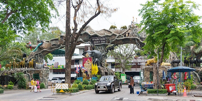 Bangkok Zoos: Knowing Animal Kingdom Of Thailand - TripXL