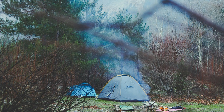 A stunning view of camping tents surrounded by lush green forest during the day.