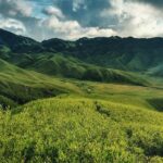 An image of Dzukou Valley in April with lush green meadows and blooming wildflowers.