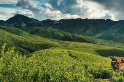 An image of Dzukou Valley in April with lush green meadows and blooming wildflowers.