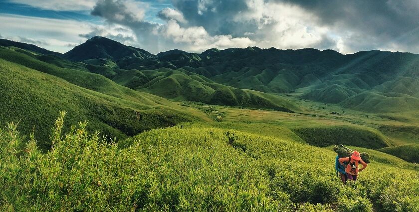 An image of Dzukou Valley in April with lush green meadows and blooming wildflowers.