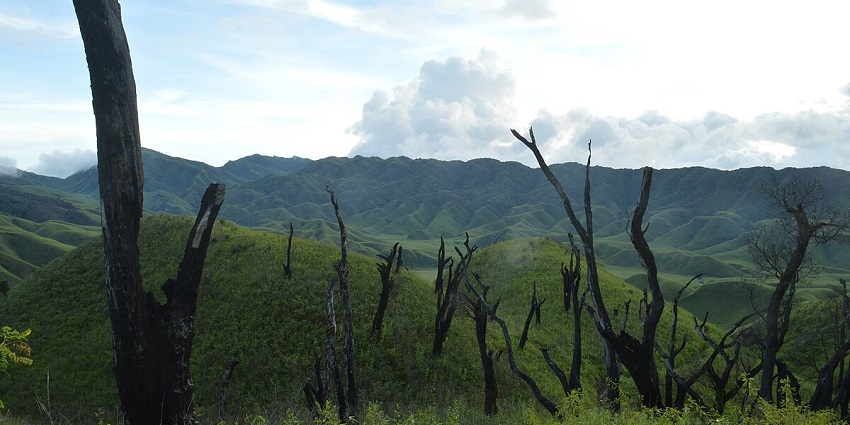 Dzukou Valley, a trekker’s paradise, is famed for its rolling hills and wildflowers.