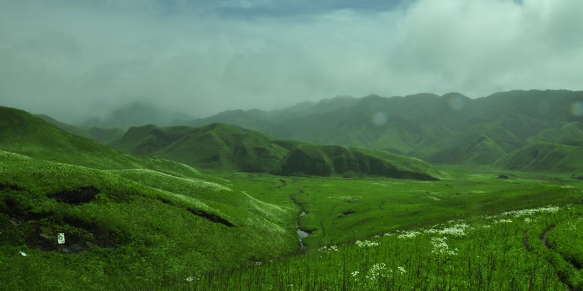 Beautiful snapshot of the lush green meadows of Dzukou Valley–Places to visit in Kohima