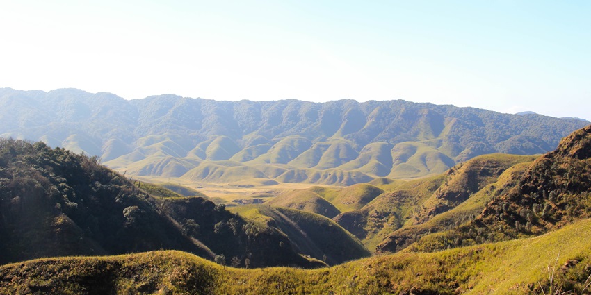 Dzukou Valley is considered as a trekker’s paradise and witness their large numbers.