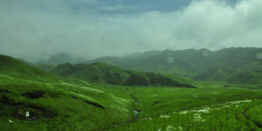 Trekking at Dzuko Valley in Summer is one of the best things to do in Kohima, Nagaland