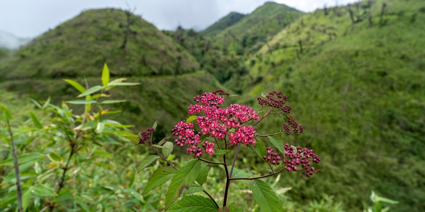 This valley is adorned with different flowers every season, which makes it a must- visit spot
