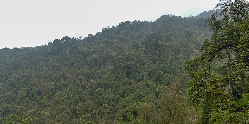 Eaglenest Wildlife Sanctuary is one of the best Arunachal Pradesh national parks.