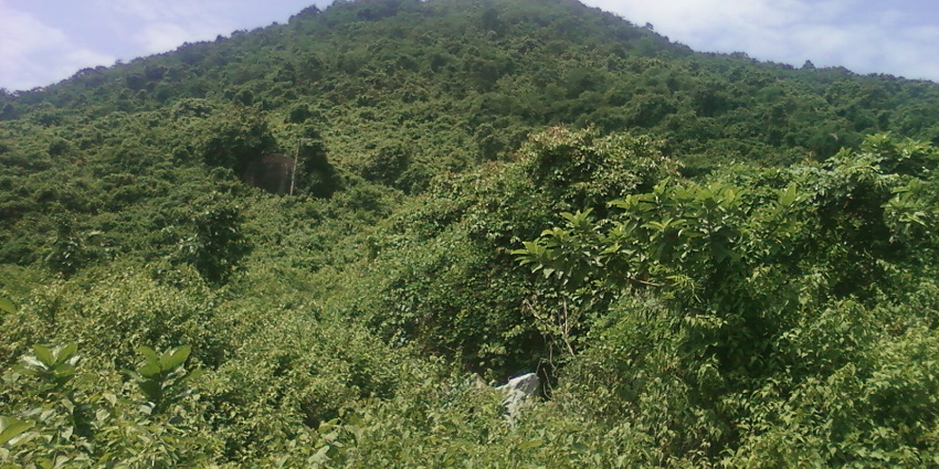 The Punyagiri Temple is located on the top of the hills in Eastern Ghats, A.P.