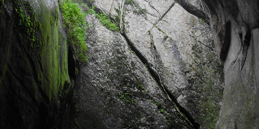 Edakkal Caves is one of the best places to visit around Ilanjippara Waterfalls for all.