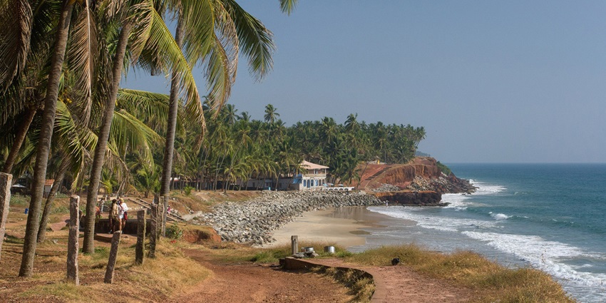 Coconut-lined Malabar Coast beach with gentle waves meeting sandy shoreline.