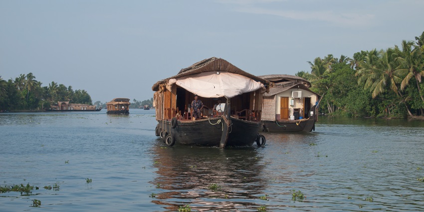 A scenic view of houseboats sailing in a lake with blue waters and palm trees around the shore
