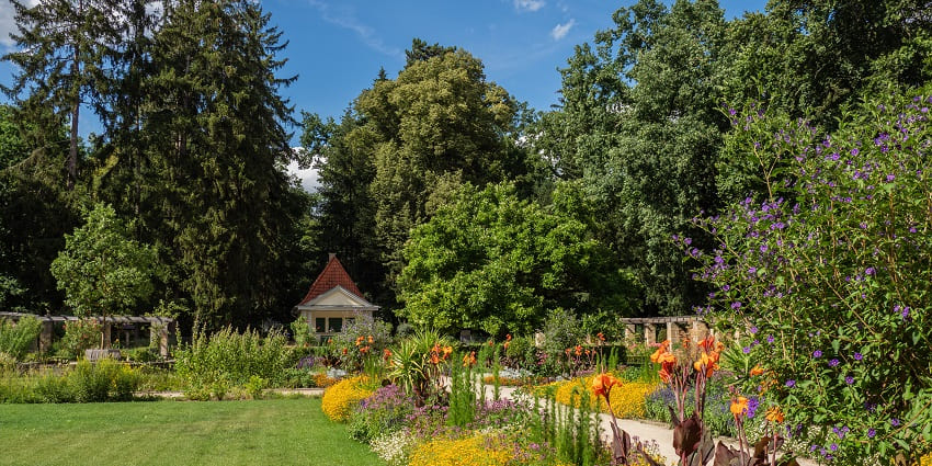 Scenic picturesque image of the garden amidst the hilly terrain of Shillong in Meghalaya