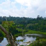 Explore the Elephant Nature Park on your trip to Thailand for a unique experience.