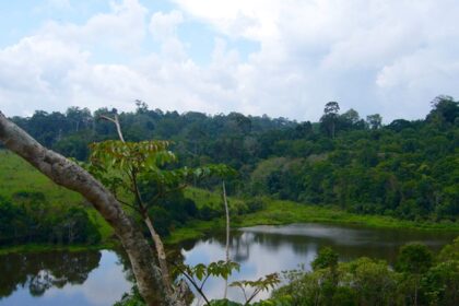 Explore the Elephant Nature Park on your trip to Thailand for a unique experience.