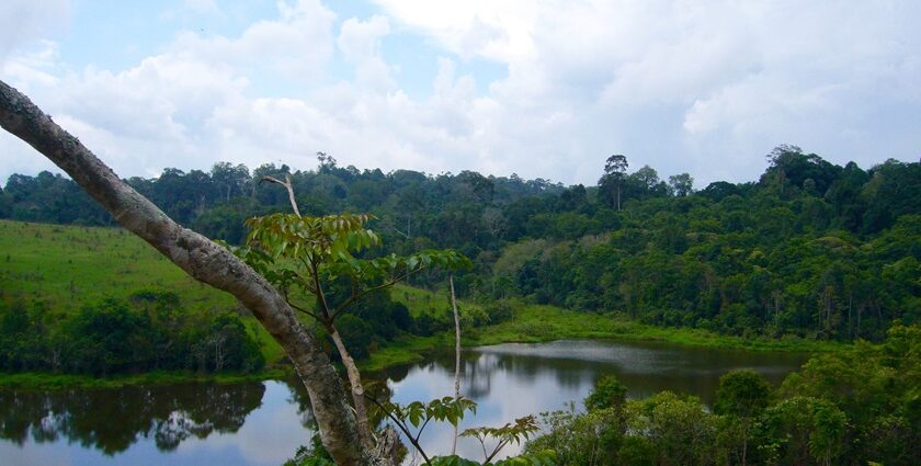 Explore the Elephant Nature Park on your trip to Thailand for a unique experience.