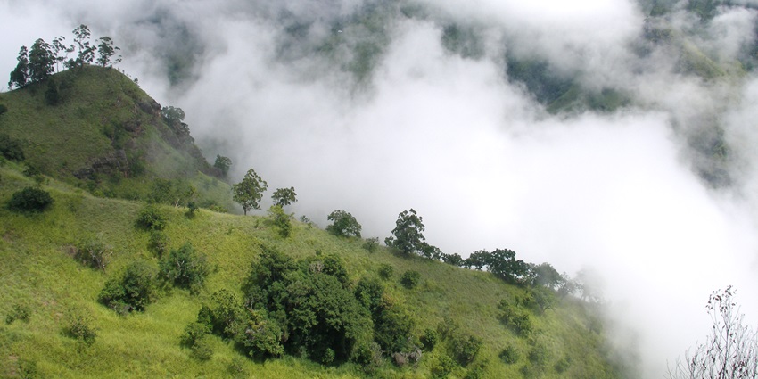 Misty Ella Valley, mountain slopes covered in trees and clouds. Places to Visit in Sri Lanka.