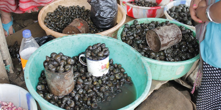 Ema Keithel Market is one of the buzzling markets offering variety of souvenirs to buy.