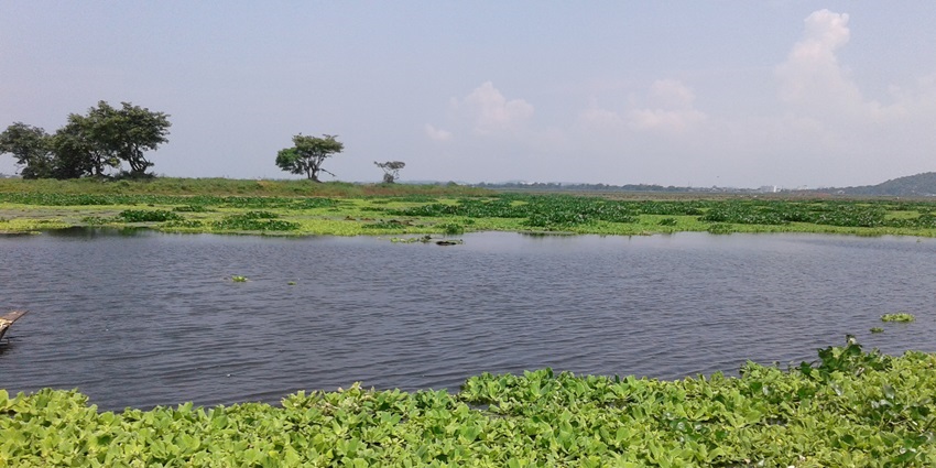 Enjoy a peaceful boat ride at Deepor Beel, one of the top things to do in Assam.