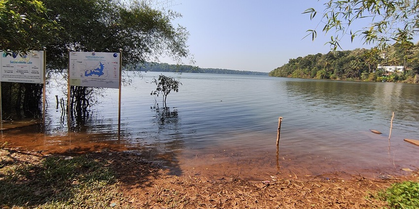 Exploring the serene Sasthamkotta Lake is one of the top things to in Kollam.