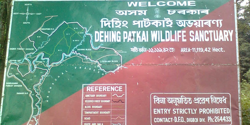 The location of Dehing Patkai lies in the lush green forests with rare species of fauna available.