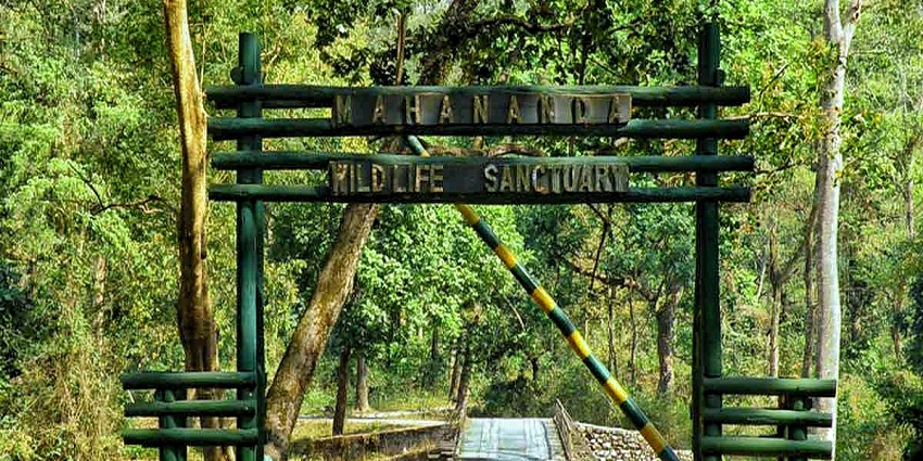 This wildlife sanctuary is a must visit destination on your next adventure to Darjeeling