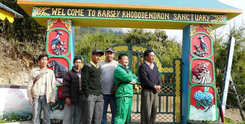 Barsey Rhododendron wildlife sanctuary is an must visit place in west Sikkim for wildlife enthusiasts